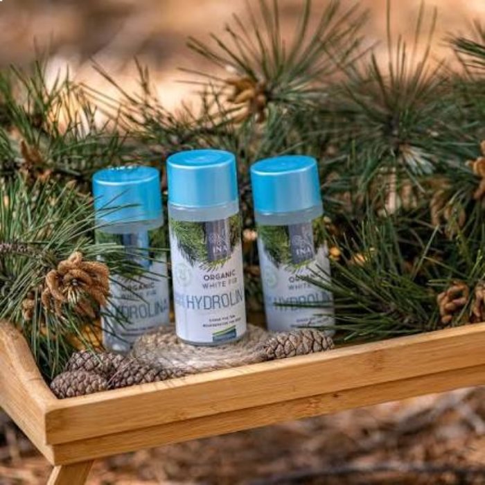 ΙΝΑ Essentials-Hydrolina white fir 3